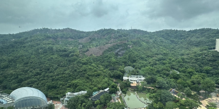 One Oasis T42 Bedroom Apartment For Rent金峰南岸