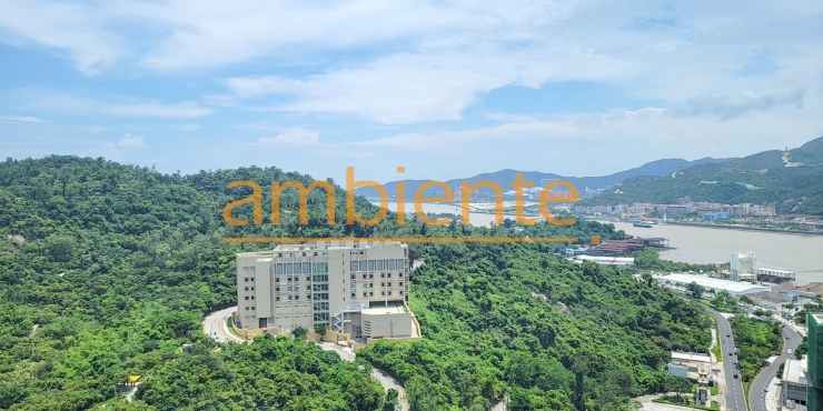 One Oasis T6Duplex Apartment For Rent金峰南岸