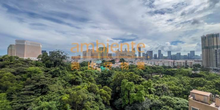 Greenville Apartment for Sale with Wonderful Green and City Views茵景園